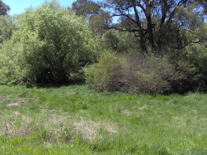 20 Caroline Steet, Bendemeer NSW 2355