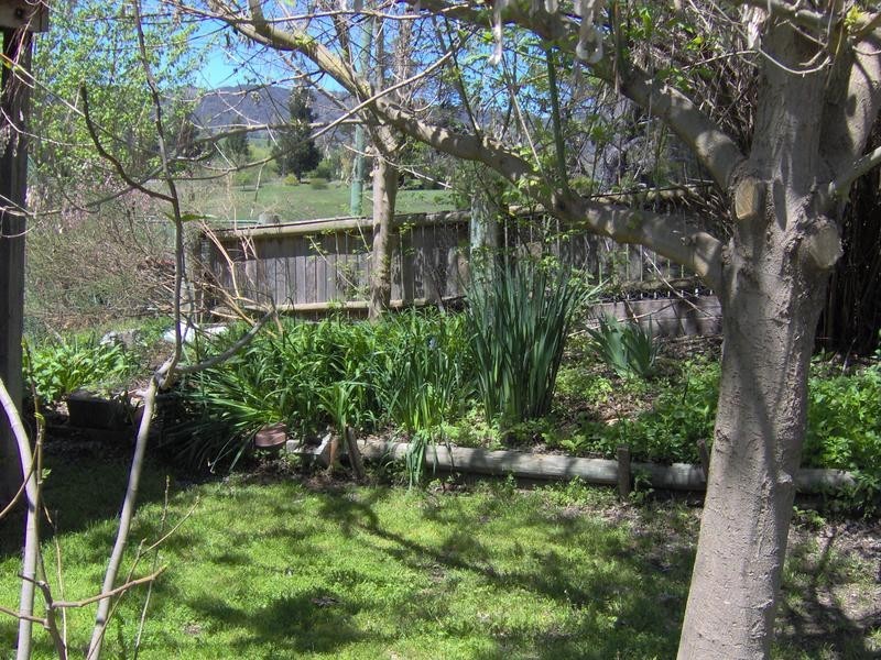 20 Caroline Steet, Bendemeer NSW 2355