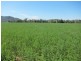 1052 Nundle Road, Tamworth NSW 2340
