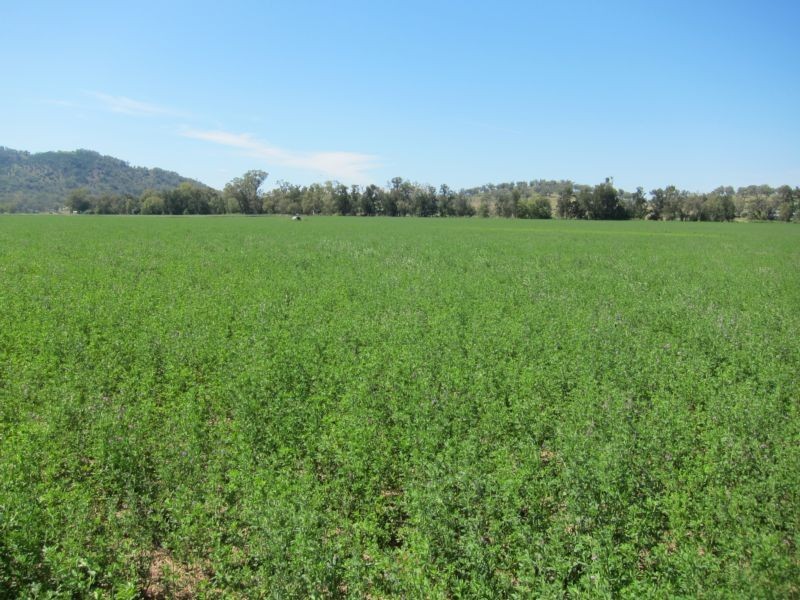 1052 Nundle Road, Tamworth NSW 2340