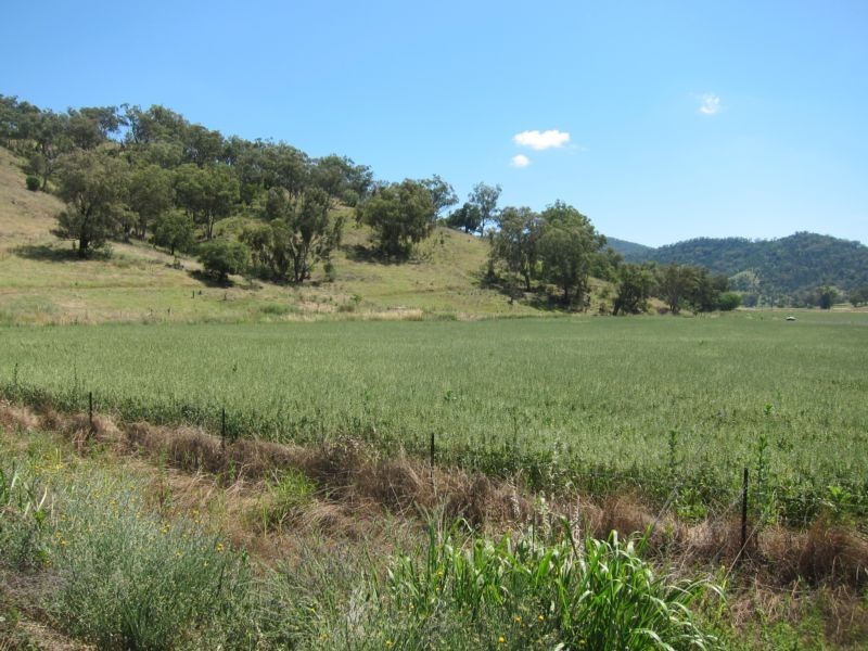 1052 Nundle Road, Tamworth NSW 2340