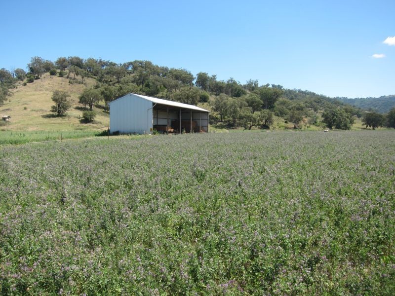 1052 Nundle Road, Tamworth NSW 2340