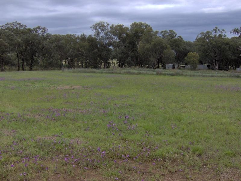 591 Moore Creek Rd, Tamworth NSW 2340