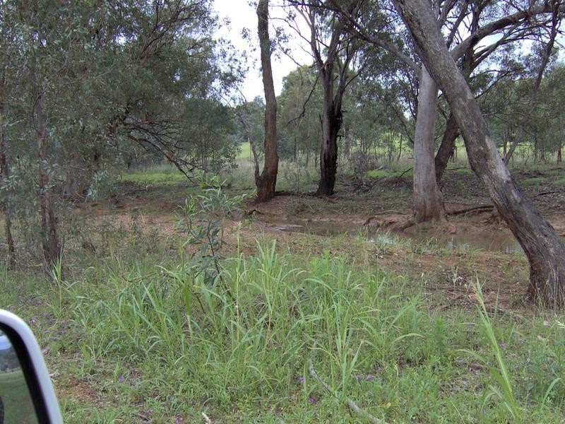 591 Moore Creek Rd, Tamworth NSW 2340