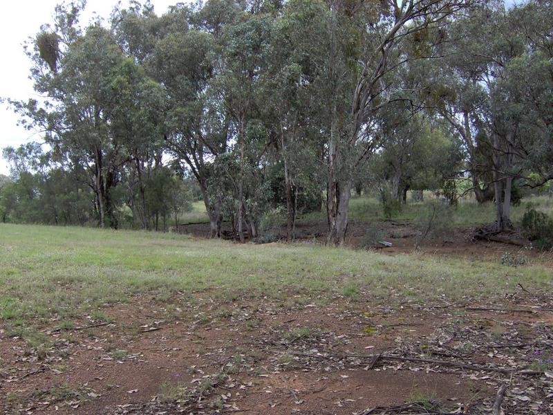 591 Moore Creek Rd, Tamworth NSW 2340