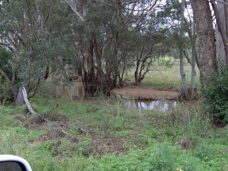591 Moore Creek Rd, Tamworth NSW 2340