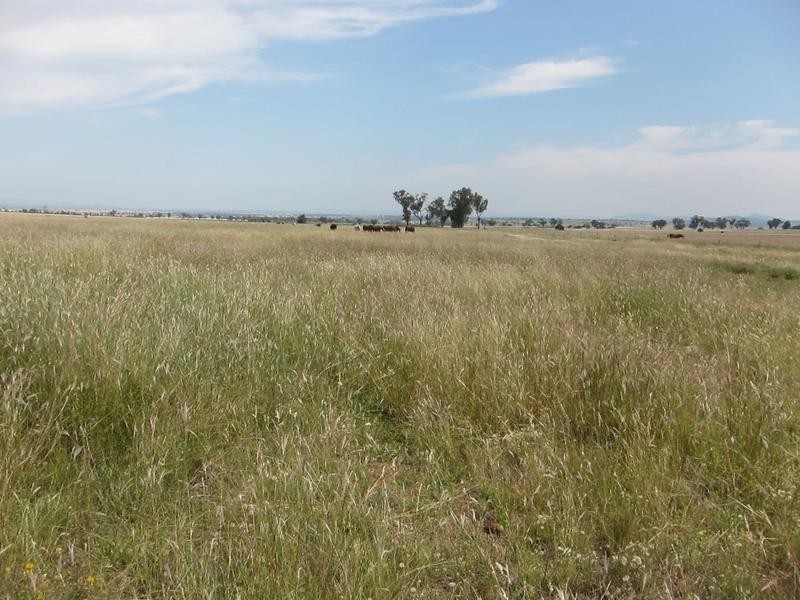 259 Racecourse Road, Tamworth NSW 2340