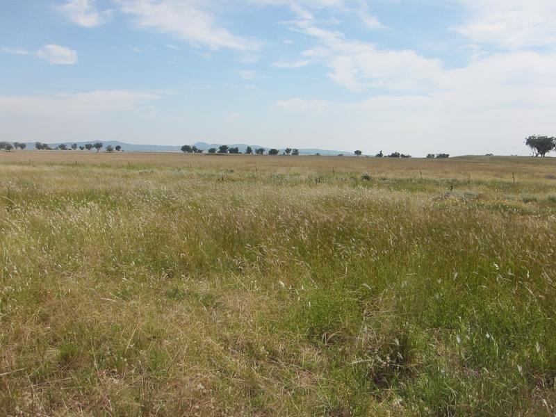 259 Racecourse Road, Tamworth NSW 2340