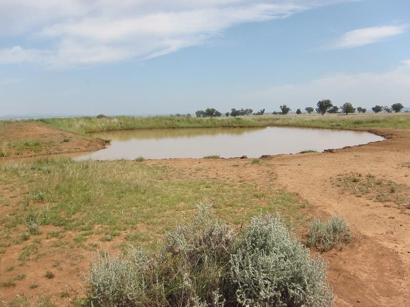 259 Racecourse Road, Tamworth NSW 2340