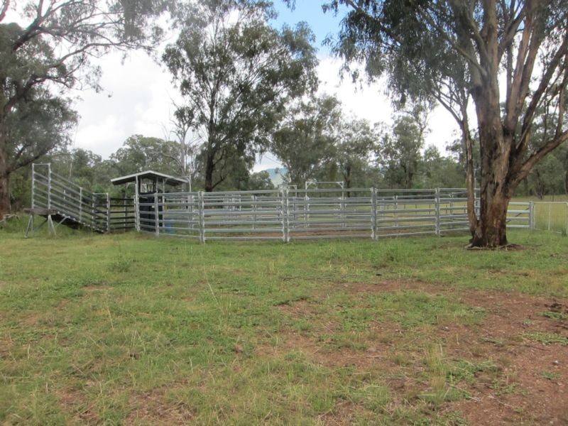 Tamworth NSW 2340