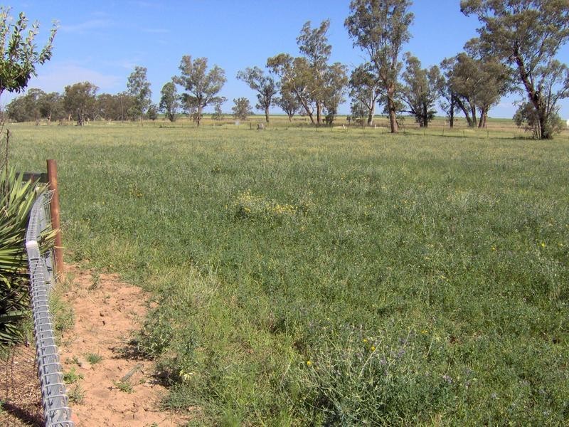 218 Old Winton Road, Tamworth NSW 2340