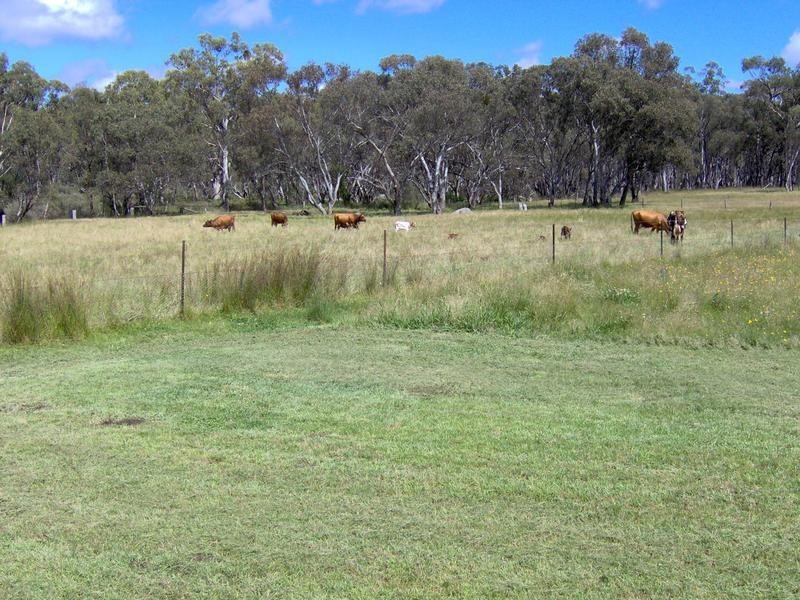 109 Tilmunda Road, Watsons Creek NSW 2355