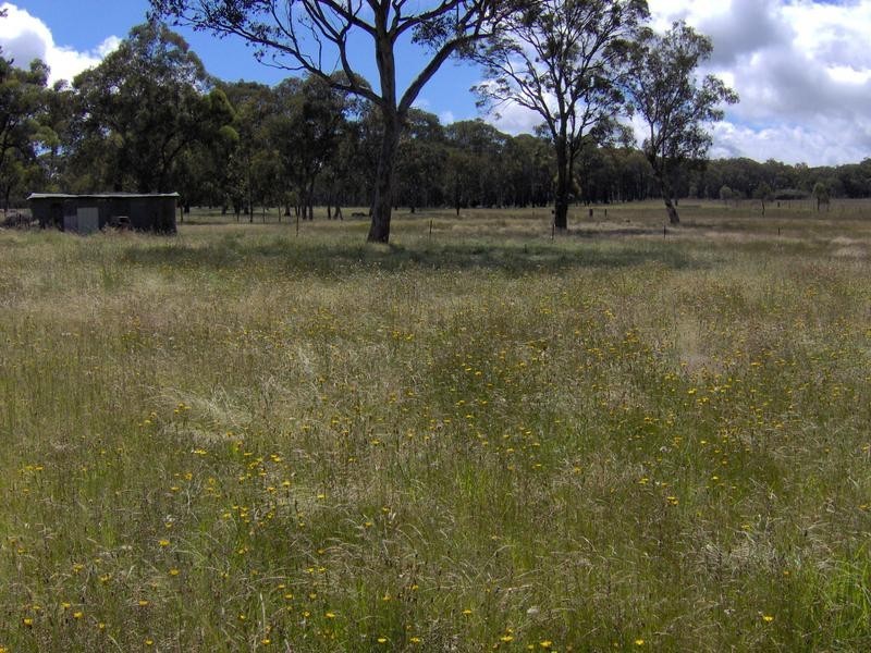 109 Tilmunda Road, Watsons Creek NSW 2355