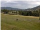 1425 Duncans Creek Road, Tamworth NSW 2340