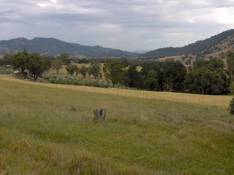 1425 Duncans Creek Road, Tamworth NSW 2340