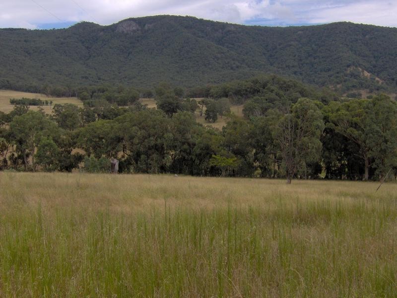 1425 Duncans Creek Road, Tamworth NSW 2340