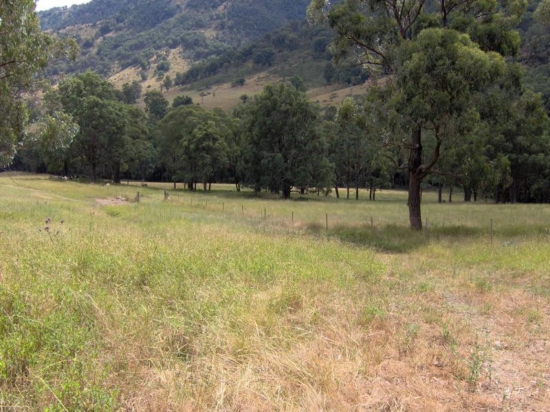 1425 Duncans Creek Road, Tamworth NSW 2340