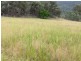1425 Duncans Creek Road, Tamworth NSW 2340