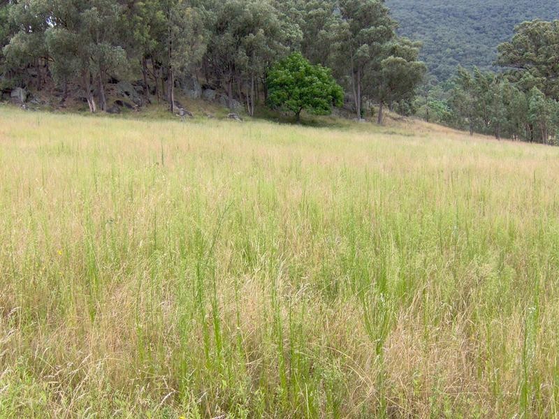 1425 Duncans Creek Road, Tamworth NSW 2340