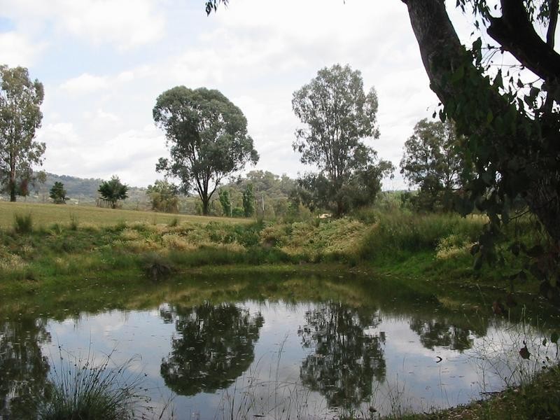 4 Pindara Drive, Tamworth NSW 2340