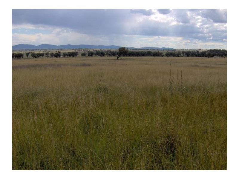 1610 Oxley Highway, Tamworth NSW 2340