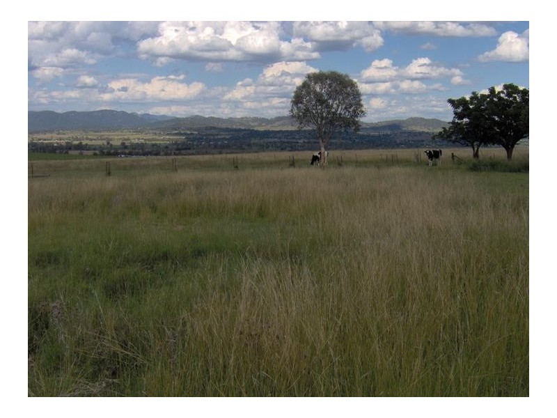 1610 Oxley Highway, Tamworth NSW 2340