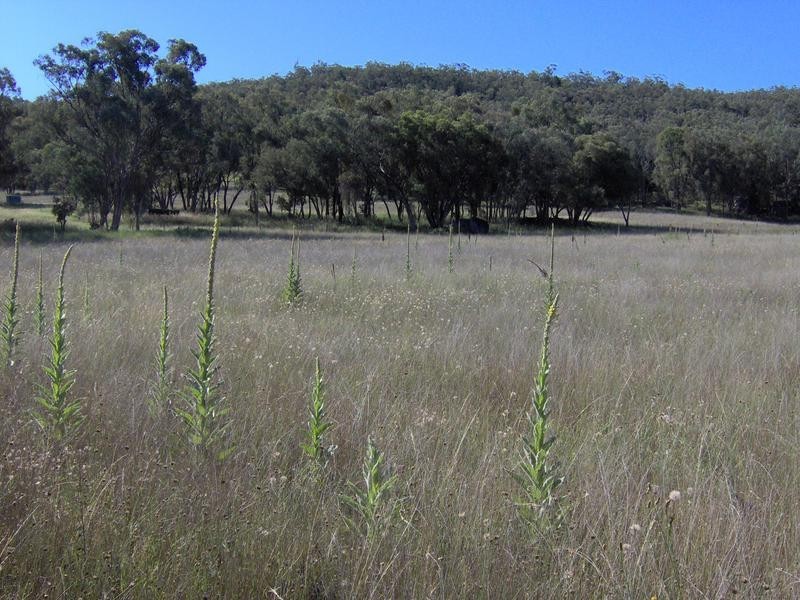 168 Porcupine Lane, Tamworth NSW 2340