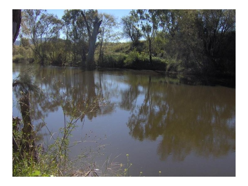 161 Halls Creek Road, Tamworth NSW 2340