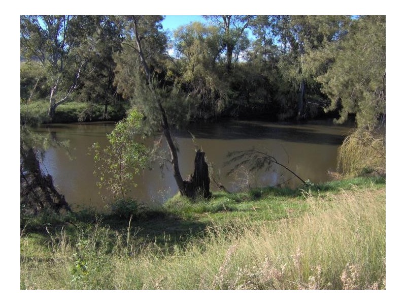 161 Halls Creek Road, Tamworth NSW 2340
