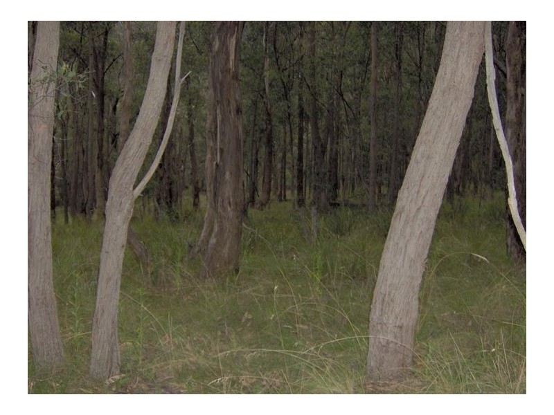 Lot 121/75/116,  Duncans Creek Road, Tamworth NSW 2340