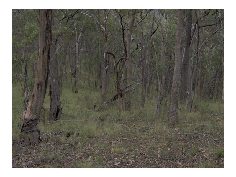 Lot 121/75/116,  Duncans Creek Road, Tamworth NSW 2340