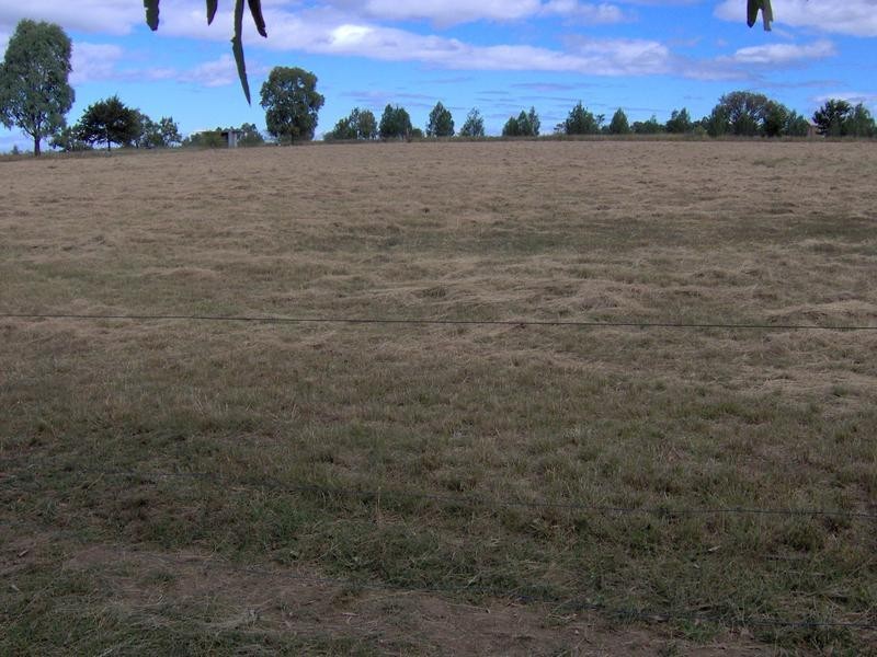 25 Heiligmans Lane, Tamworth NSW 2340