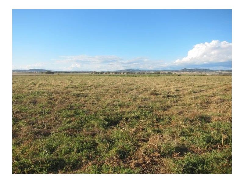 173 Lower Somerton Road, Tamworth NSW 2340