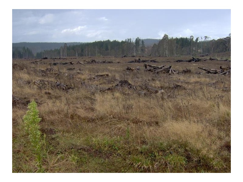 Nowendoc Road, Tamworth NSW 2340