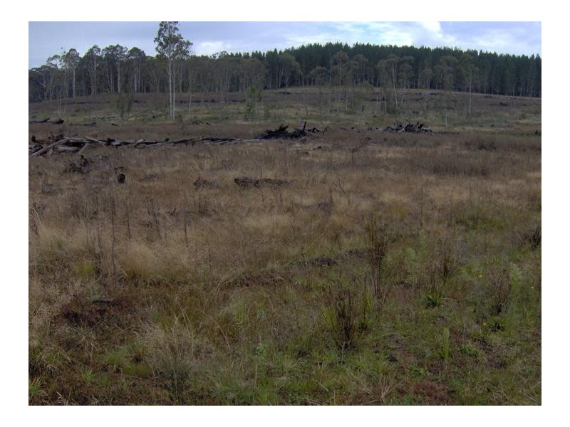 Nowendoc Road, Tamworth NSW 2340