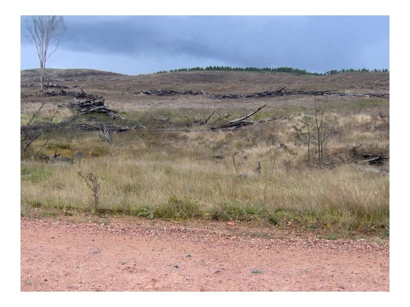 Nowendoc Road, Tamworth NSW 2340