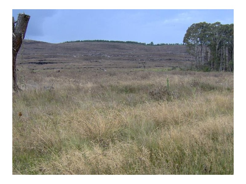 Nowendoc Road, Tamworth NSW 2340