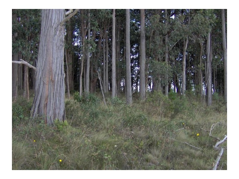 Walcha Road, Tamworth NSW 2340