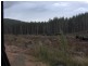 Niangala-Weabonga Road, Tamworth NSW 2340