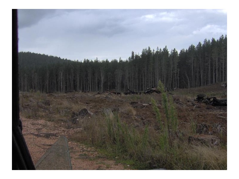 Niangala-Weabonga Road, Tamworth NSW 2340
