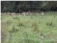 962 Dungowan Dam Road, Tamworth NSW 2340