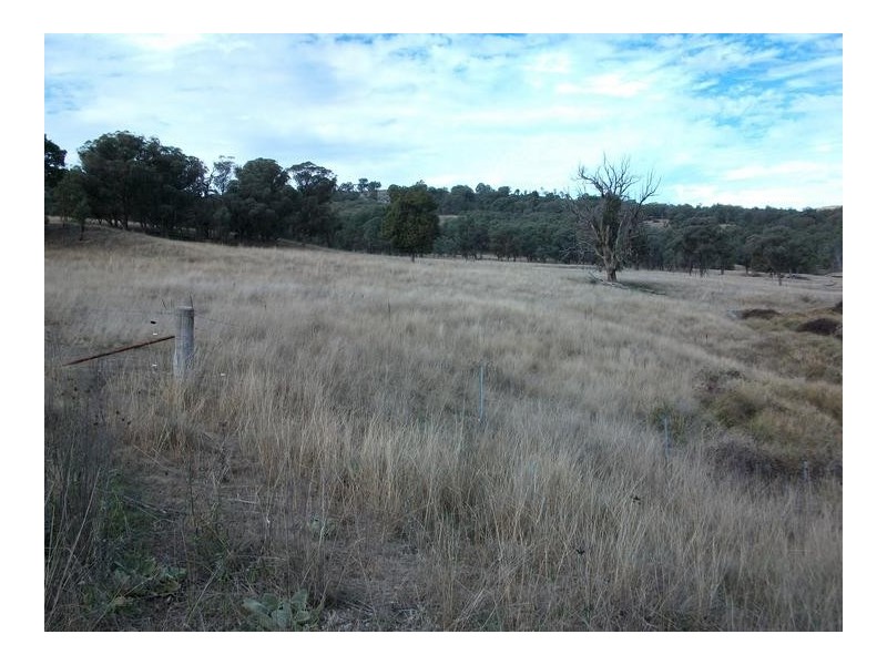 51 Danglemah Road, Tamworth NSW 2340