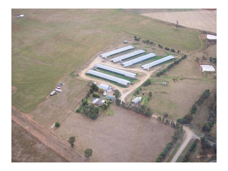 153 Byamee Lane, Tamworth NSW 2340