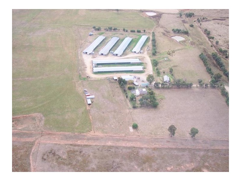 153 Byamee Lane, Tamworth NSW 2340