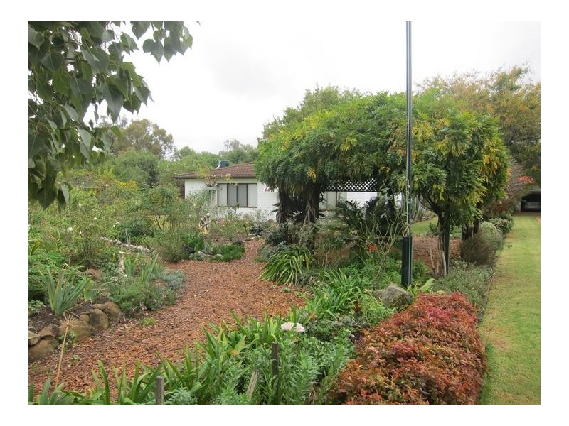 1198 Duri- Wallamore Road, Tamworth NSW 2340