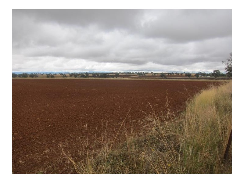1198 Duri- Wallamore Road, Tamworth NSW 2340