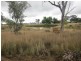 1198 Duri- Wallamore Road, Tamworth NSW 2340
