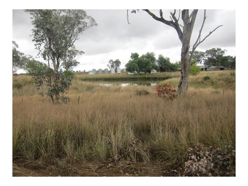 1198 Duri- Wallamore Road, Tamworth NSW 2340