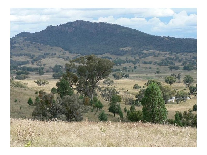 71 Whittons Road, Tamworth NSW 2340