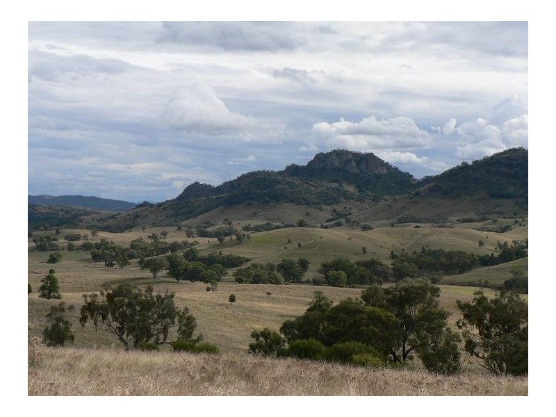 71 Whittons Road, Tamworth NSW 2340